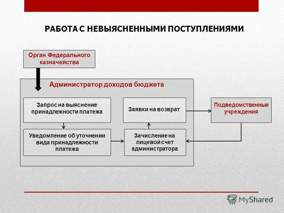 невыясненные поступления в бюджет