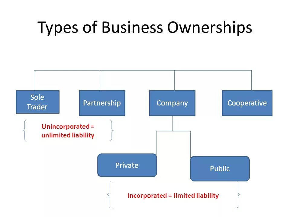 Types of Business. Types of Business Companies. Types of Business Organizations. Types of Business ownership. Owner type