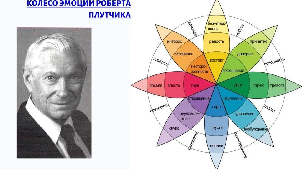 Колесо ощущений. Колесо ощущений