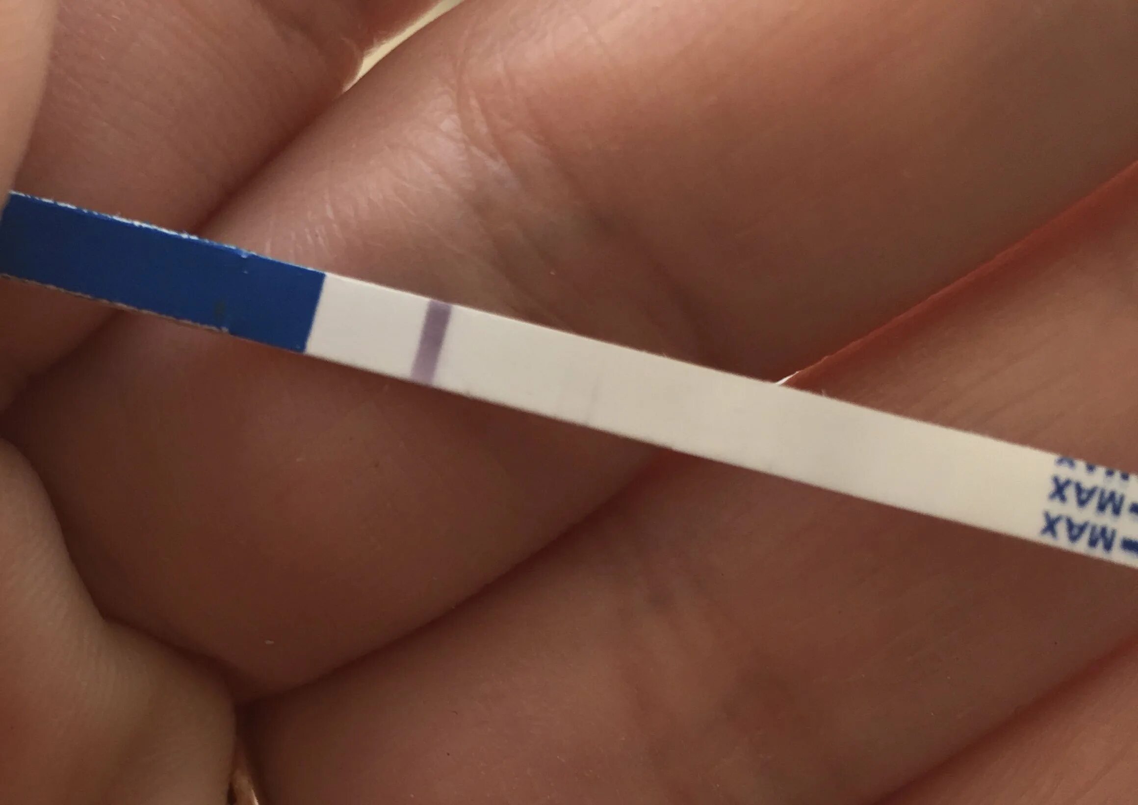 Тесты для учеников. Тестирование в школе. Перед тестем. Вьетнамский врачи рекомендует рисунка. Перед тестем.