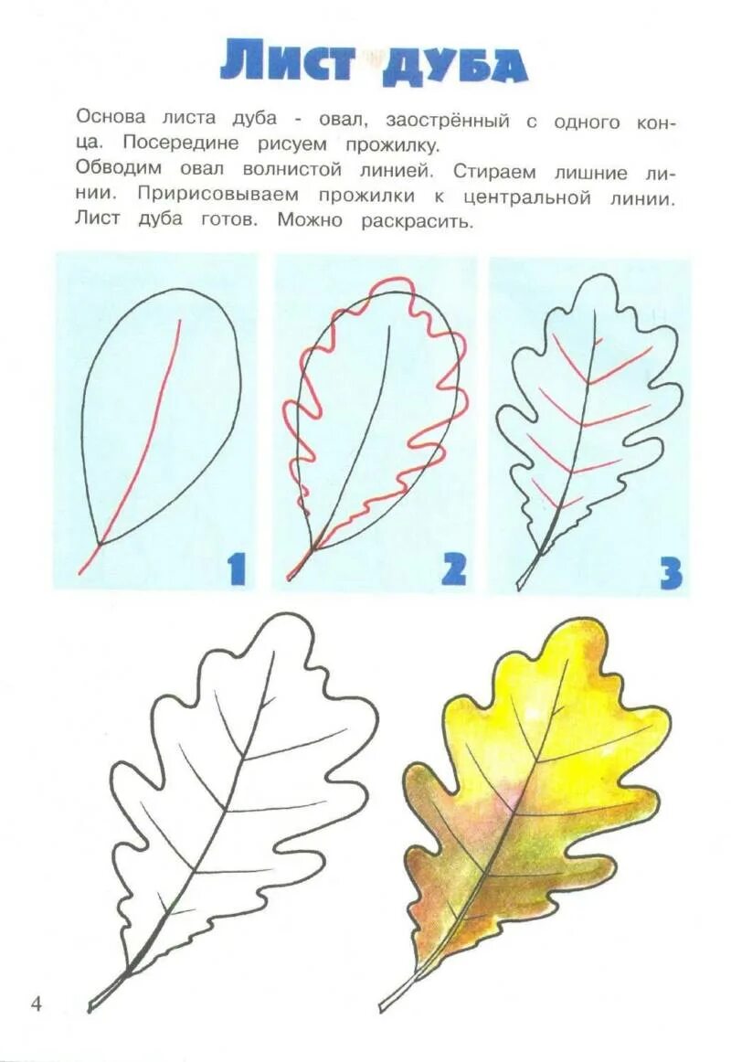 Презентация рисование листьев. Рисуем дубовый лист поэтапно. поэтапное рисование листа дуба. поэтапное рисование листьев. рисование на листьях дуба.
