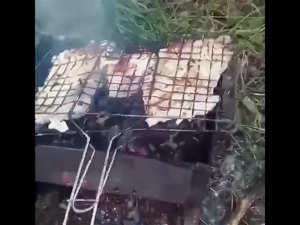 В Абрыскино нажарил шашлыки. Бобёр Жарящий шашлык под дождем.