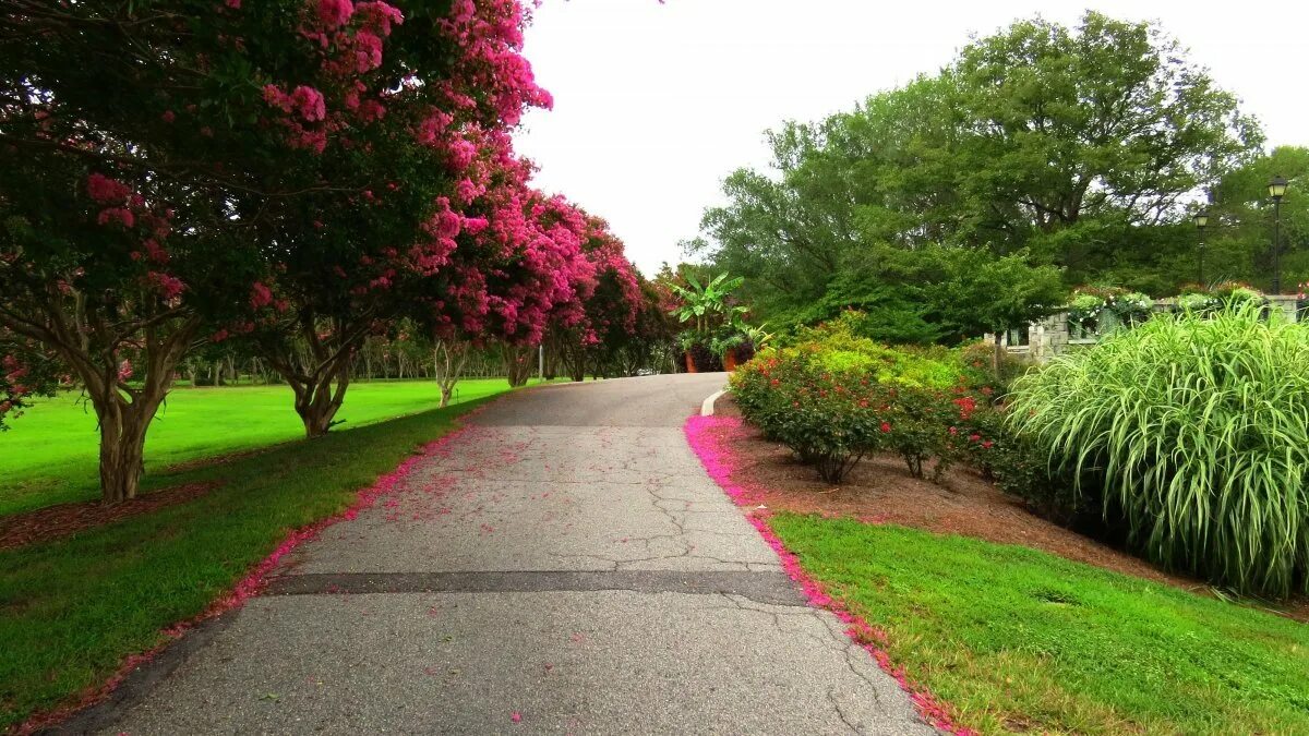 Background park
