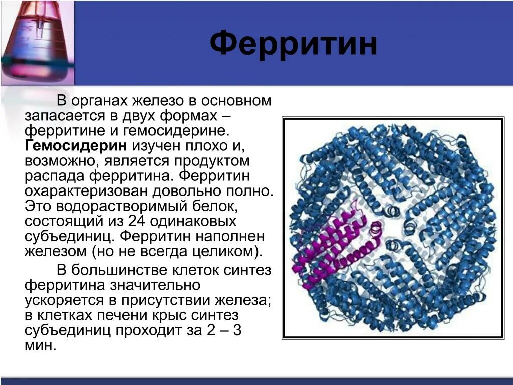 За что отвечает ферритин в организме женщин. Ферритин 1. Ферритин 0. Железо ферритин. Железо и ферритин показатели.