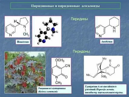 Метаболиты растений