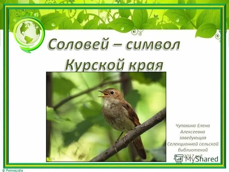 Соловей курского края. Курский соловей в презентацию. Соловей символизирует. Курск музей курский соловей. Соловей символизирует.