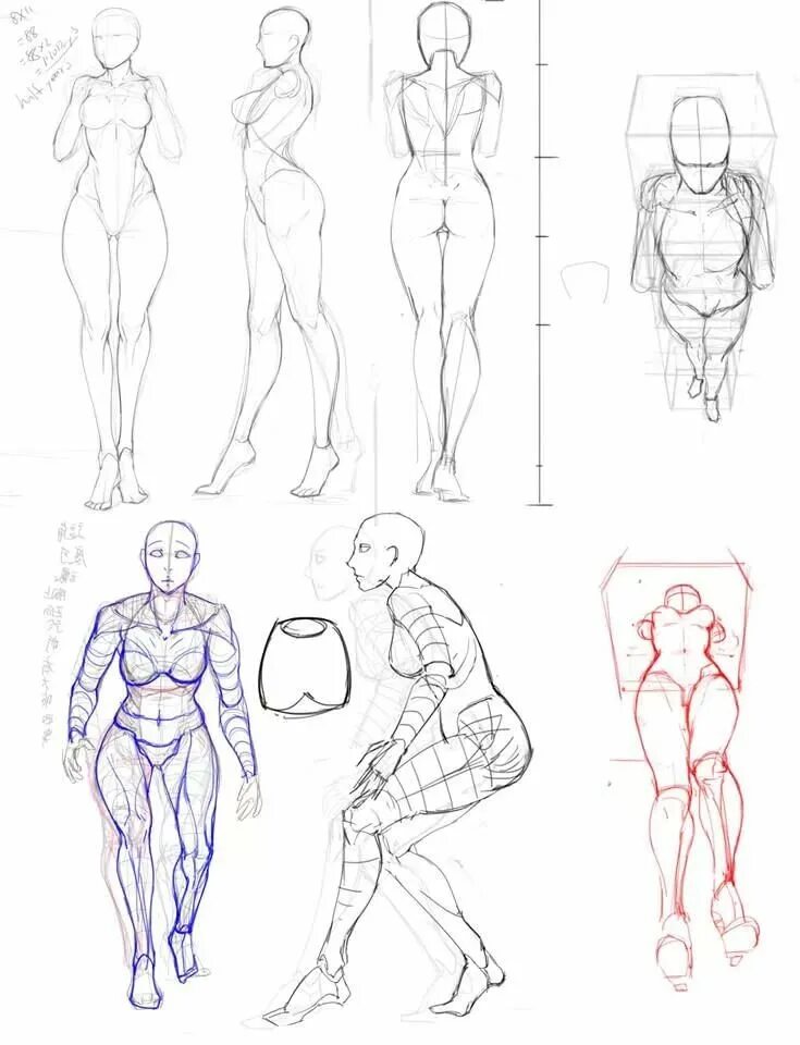 Тела карандашом поэтапно. Тело для рисования. Анатомия человека рисо. Анатомия женского телаля рисования. Схема рисования тела.