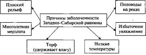 Причина сильной заболоченности. Причины заболоченности Западно-сибирской. Причины заболоченности Западно-сибирской равнины. Схема причины заболоченности Западно сибирской низменности. Причины заболоченности Западной Сибири схема.