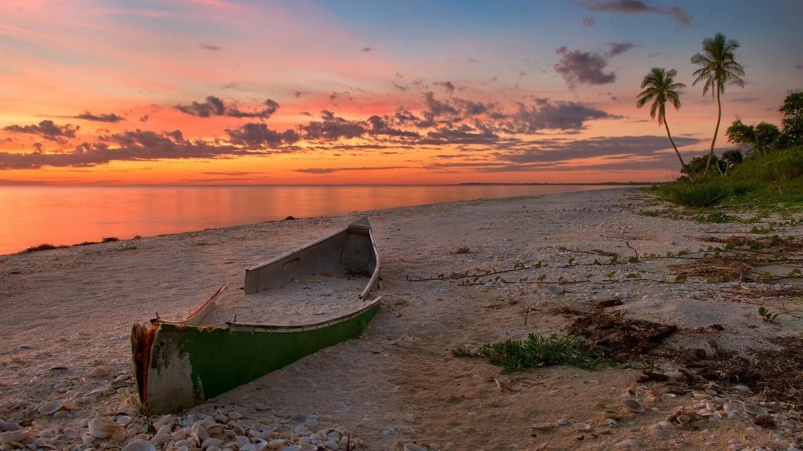 Live near the sea. Гоа Сансет океан. Сансет Бич Гоа. Гоа пейзажи. Пейзаж пляж.