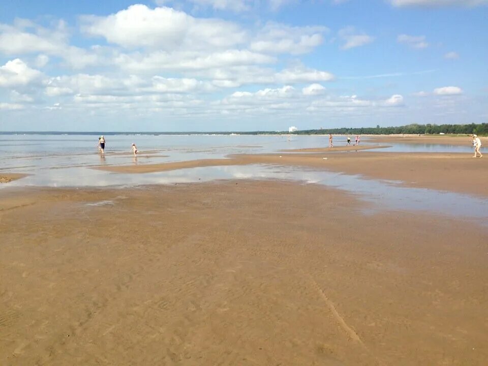 Пляж дубки в сестрорецке. Дубковский пляж сестрорецк. Пляж дубки в сестрорецке. Дубковский пляж сестрорецк. Дубковский пляж сестрорецк.