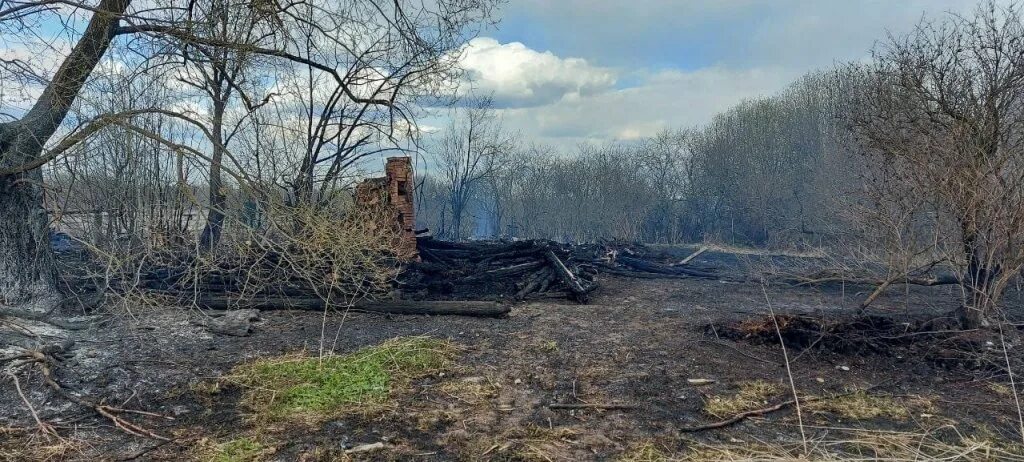 Случай в деревне 2. Данильцево Кашинский район. Деревня Данильцево Тверская область. Кашинская область деревня Данильцево. Сгоревшая деревня.