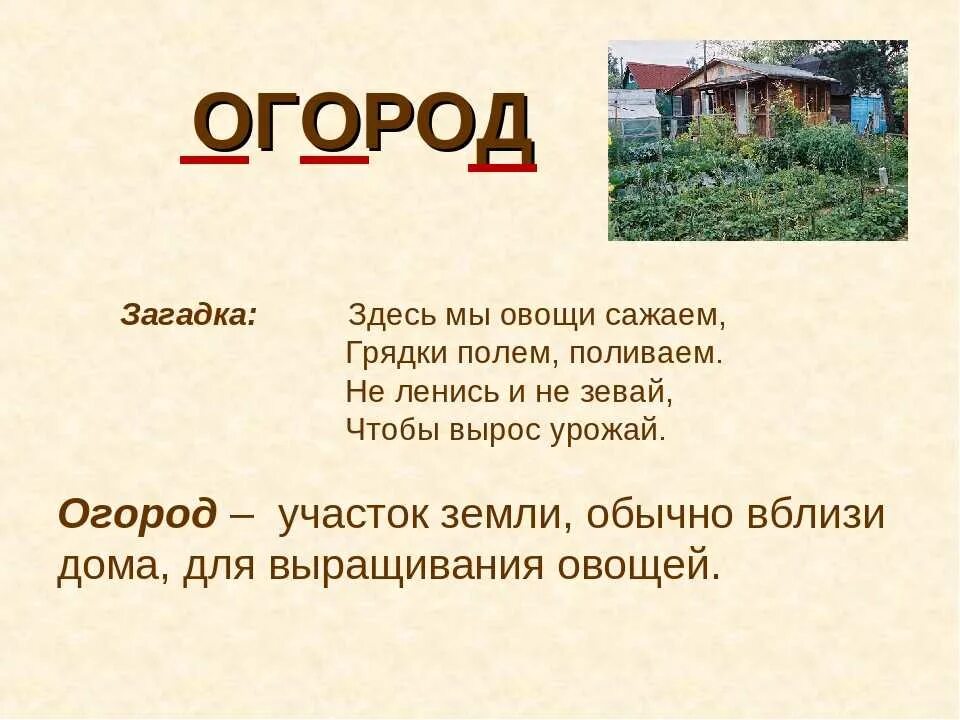 Лексическое слово окно. Загадки про огород для детей. Детские загадки про огород. Загадки про сад и огород. Загадки про сад.