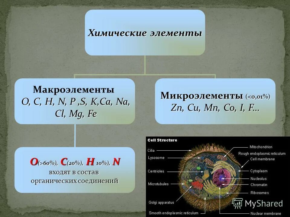 Назовите химические элементы образующие простое вещество. Химические элементы. Химические элементы макроэлементы. Химические элементы в клетке макроэлементы микроэлементы. Макроэлементы химический состав.