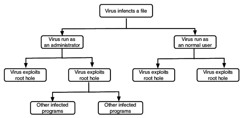 Компьютерные вирусы диаграмма. What is a Computer virus. Viruses Computer example. How Computer virus works.