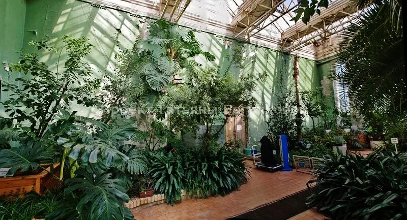 павильон 14 азербайджан на вднх. вднх павильон 14 оранжерея. оранжерея вднх 14. оранжерея вднх концертный зал. тц оранжерея батайск.