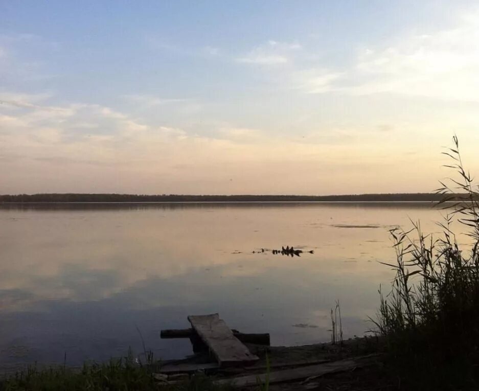 Озеро горькое Курганская. Озеротгорькое Курганской области. Озеро горькое Щучанский район. Озеро горькое Щучанский район Курганская область. Курорт озеро горькое