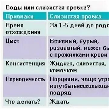 Сколько отходят после