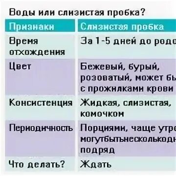 Отходит пробка при беременности через сколько. Когда отходит слизистая пробка. Отошла слизистая пробка. Отхождение слизистой пробки. Отошла пробка когда рожать.