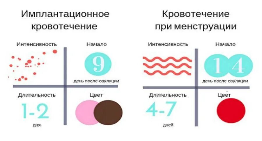 Имплантационное кровотечение тест форум. Имплантационноеткроыотечение. Иплационое кровотечения. Импантационноекровотечение. «Имплантацион кровотечение.