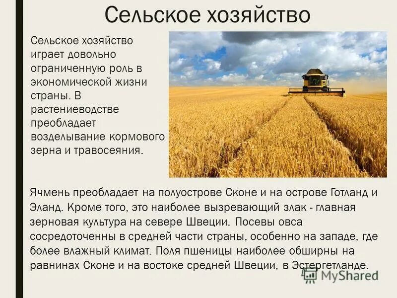 растениеводство преобладает в какой стране