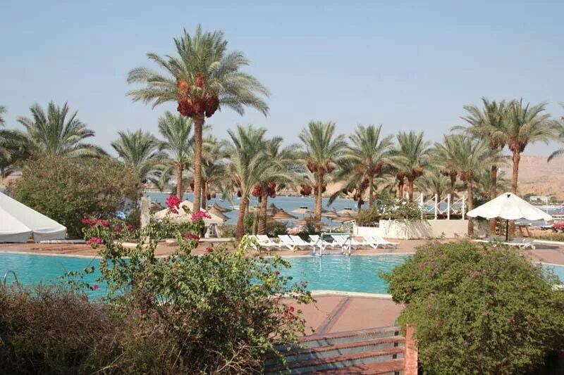 Fun Sun Smart Seti Sharm 4 Шарм-Эль-Шейх. Dessole Seti Sharm Resort 4. Dessole Seti Sharm Resort (Шарм-Эль-Майя). Дессоле Сити Шарм Шармель Шейх.