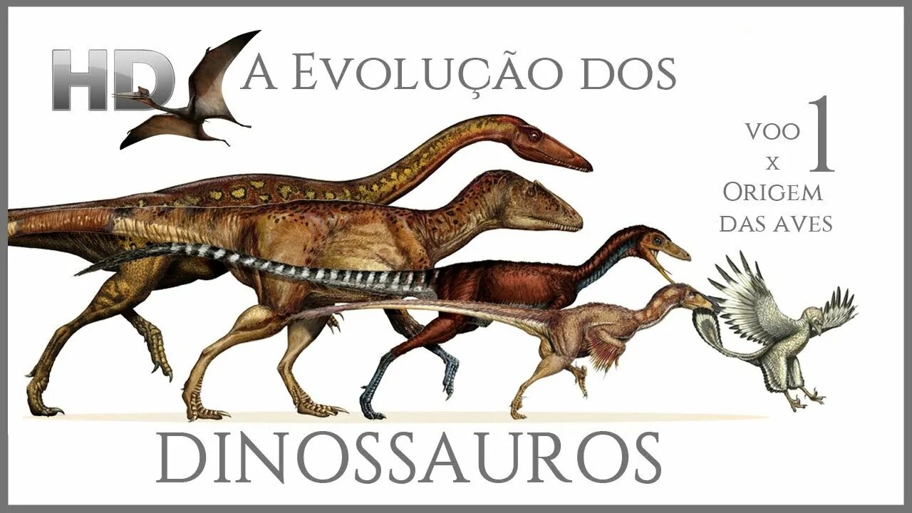 Динозавры развитие. Птицы потомки динозавров. Теропод динозавр. Динозавры эволюционировали архозавров. Предки динозавров.