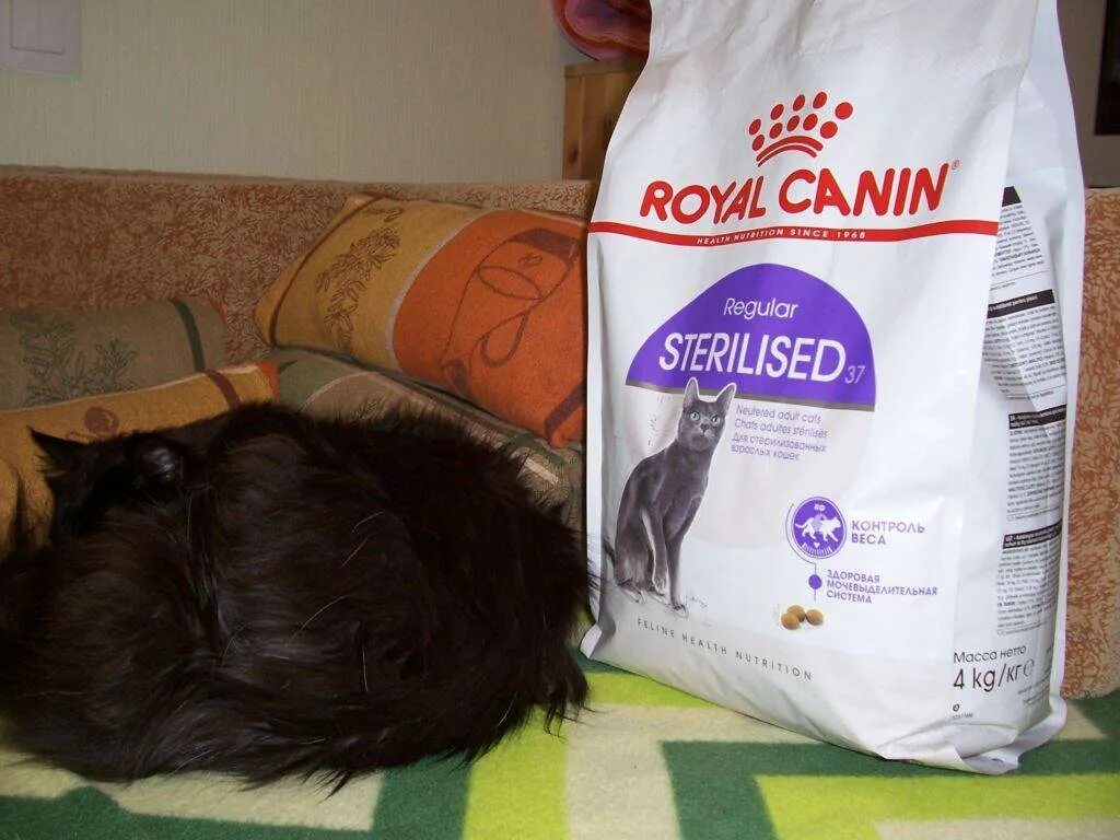 Чем кормить кастрированного кота в домашних условиях. Правильный корм для кастрированного кота. Royal Canin сухой корм для кастрированных кошек. Лучшие корма для стерилизованных кошек советы ветеринаров. Корм для кастрированных котов сухой от ветеринаров.