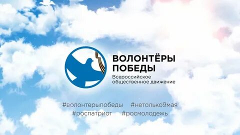 Волонтеры победы
