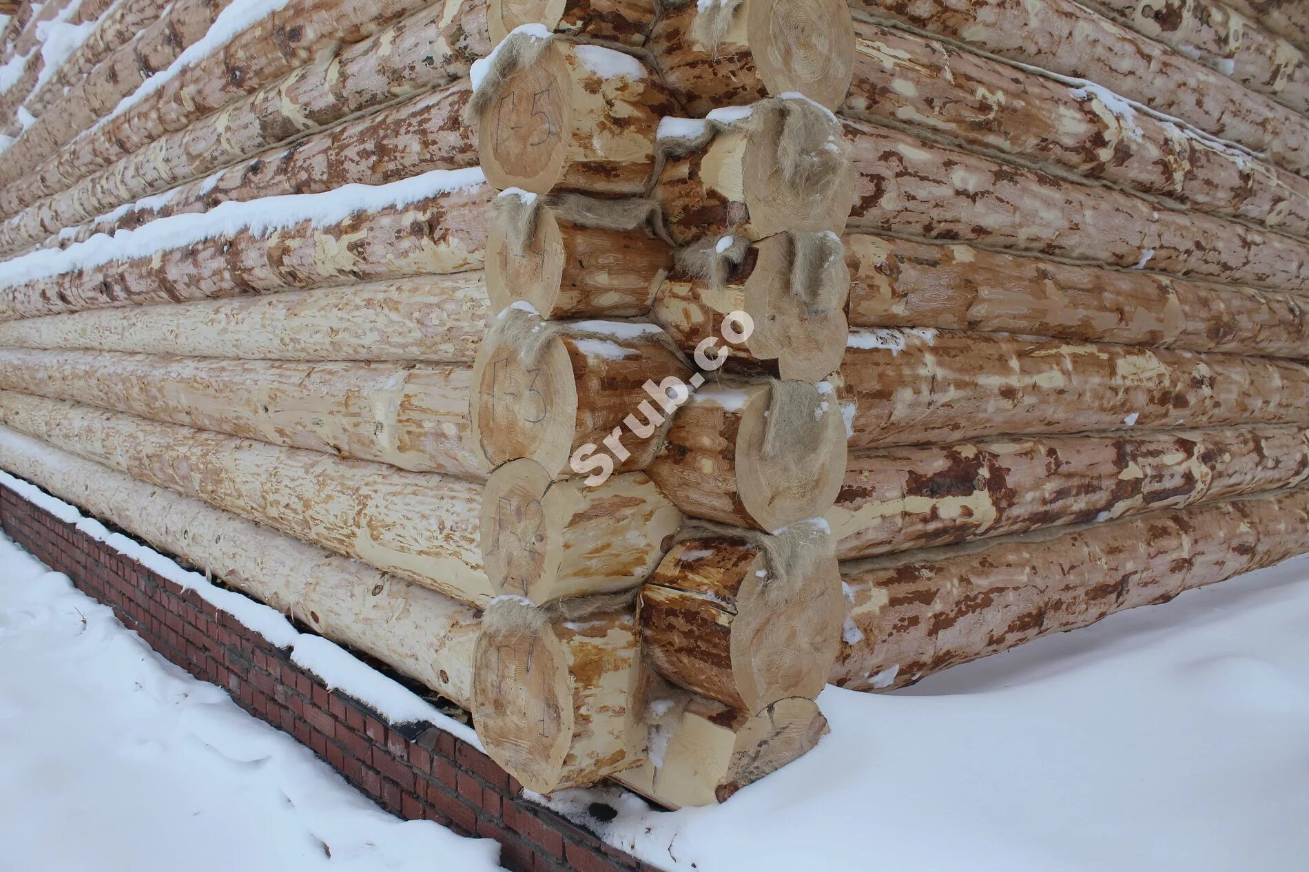 Срубы 12 12