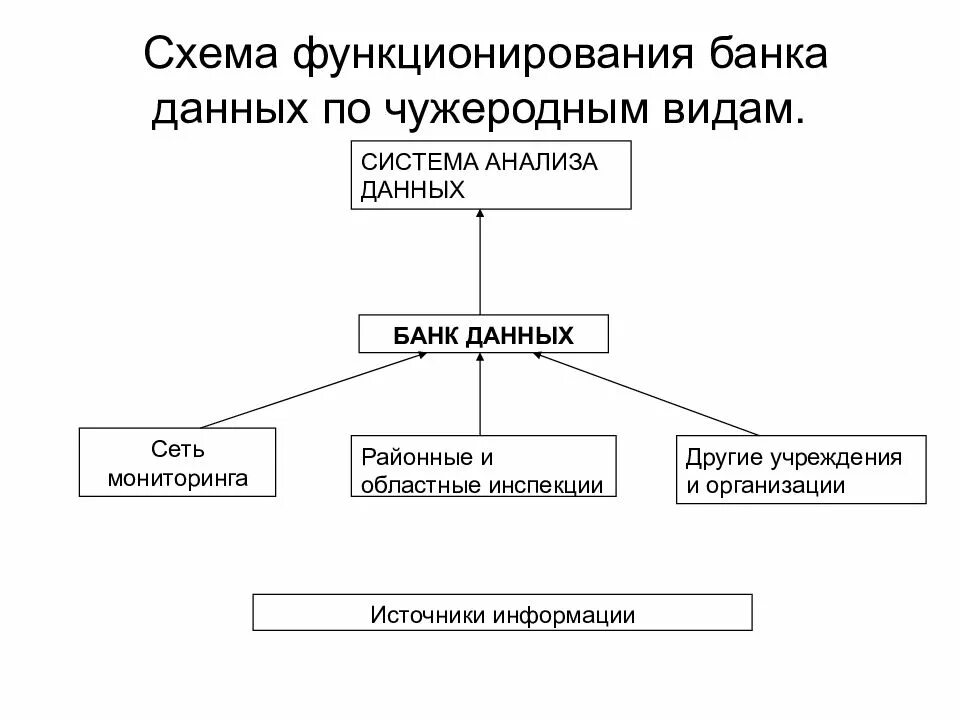 Банки открытых данных примеры. Банк данных схема. Схема банка данных. Схема функционирования. Схема функционирования банка.