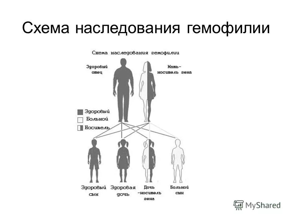 Заболевания крови передающиеся по наследству. Гемофилия генетика Тип наследования. Схема наследования гемофилии. Схема передачи гемофилии по наследству. Болезнь гемофилия Тип наследования.