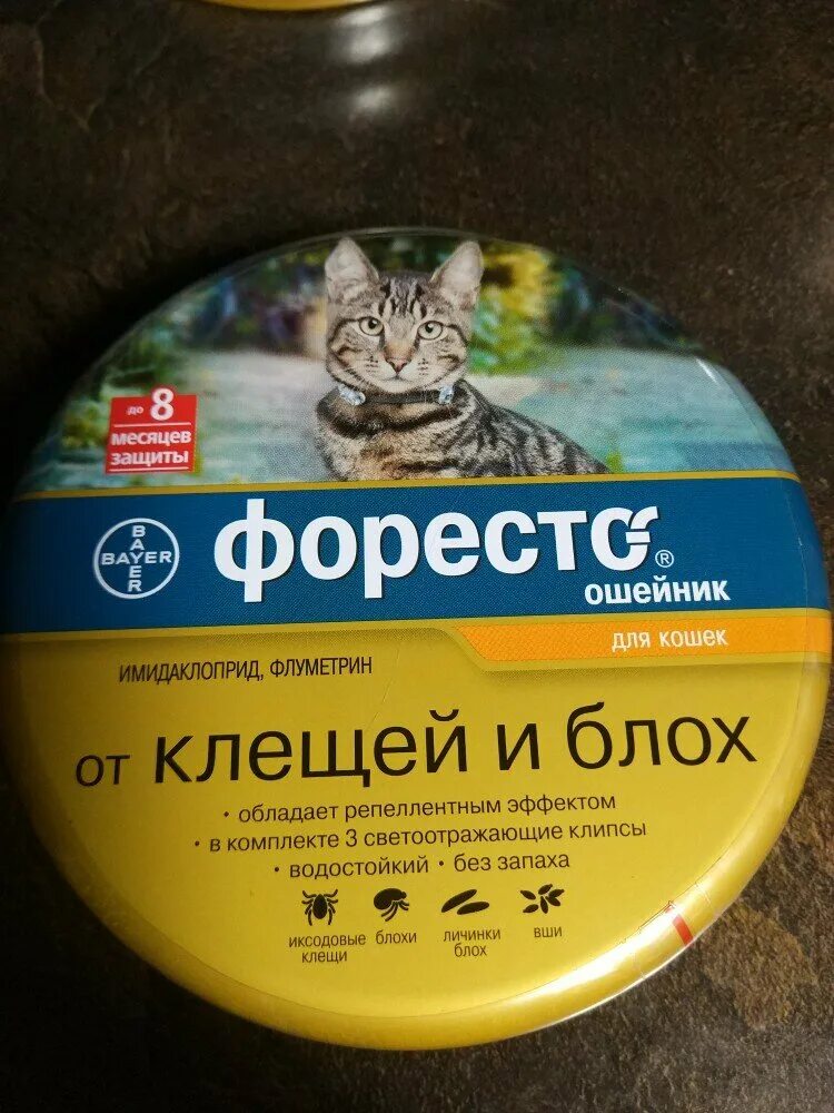 Форесто ошейник для кошек купить в москве