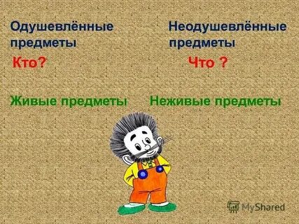 Неодушевленные вещи