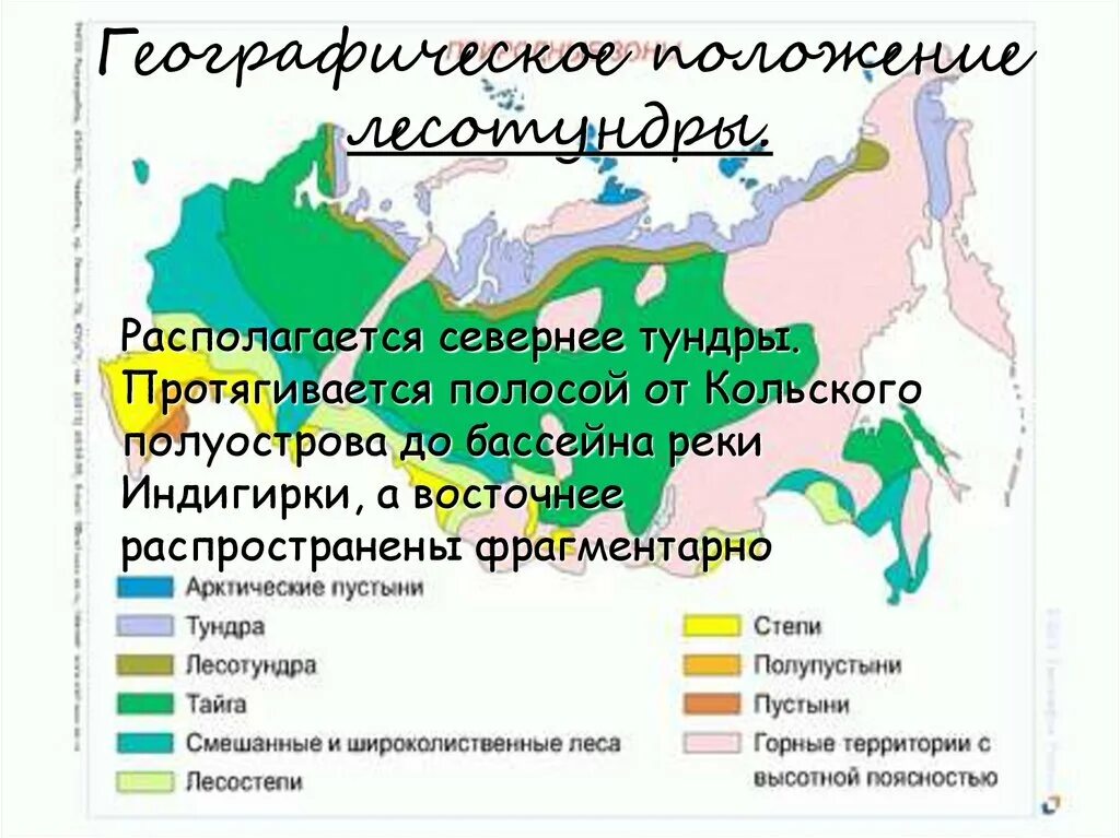 Географическое расположение тундры на карте. Географическое положение лесотундры в России на карте. Зона тундра на карте России расположена. Тундра и лесотундра географическое положение. Тундра относительно морей и океанов