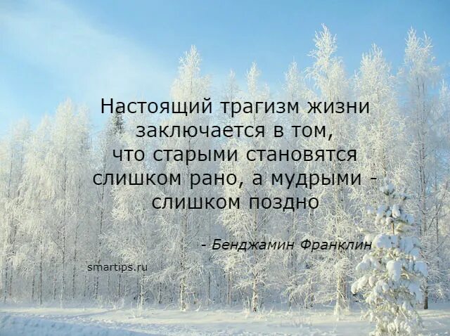 Жизнь заключается в том чтобы. Настоящий трагизм жизни заключается в том. жизнь в том и заключается чтобы. цитаты про трагизм жизни. поздно цитаты.