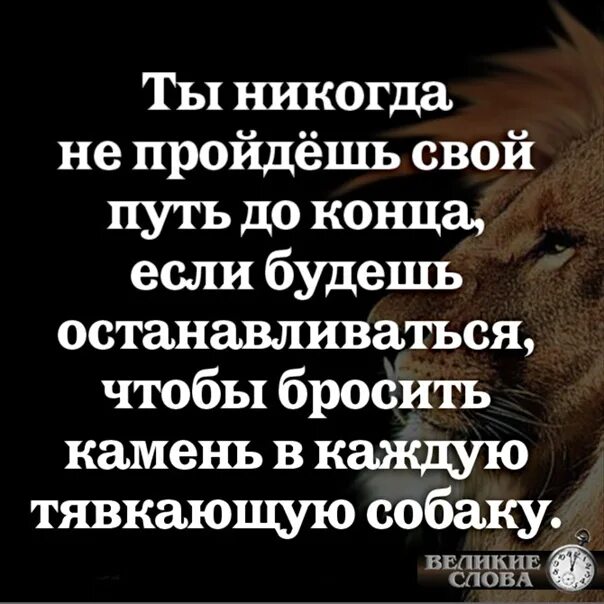 Который останавливается на каждой. На каждую тявкающую собаку. Камнем в каждую лающую собаку. Собаки лают цитаты. Цитата про лающую собаку.