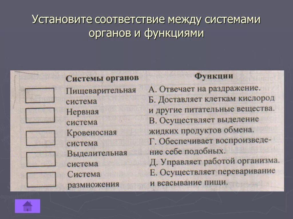 Соответствие между ученым и теорией. Установите соответствие между органами и системами органов. Установите соответствие система органов функции. Установите соответствие между системами органов и их функциями. Установите соответствие между органами и их функциями.