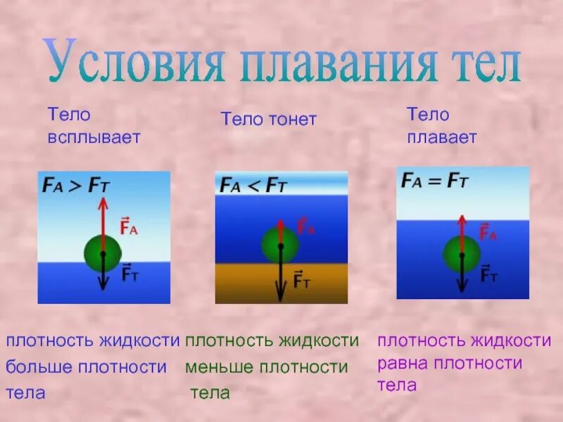 Тело некоторой плотности находится в жидкости. Условия плавания тел. Плотность тела. Плавание тел плотность. Плотность тела больше плотности жидкости.