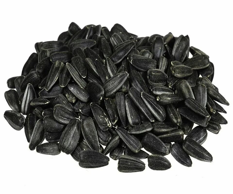 Черные семечки. Седана черный тмин. Тмин чёрный/калонджи (nigella sativa). Чёрный кунжут семена, 170 гр. Черные семечки.