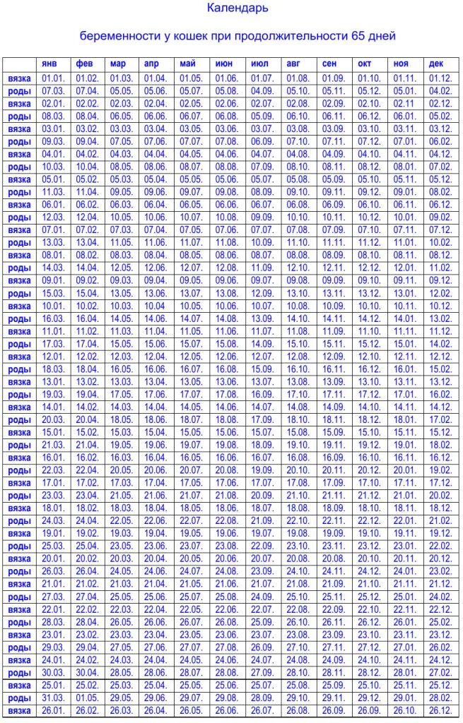 Алендарь береименности. Календурь бкоеменности. Календарь беременности. Календарь по беременности.
