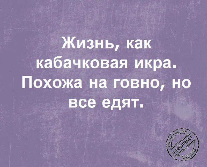 Слушать жизнь похожа на. Жизнь как кабачковая икра похожа на. Жизнь как кабачковая икра похожа на говно. Философия юмор. Жизнь похожа на кабачковую икру похожа на говно.