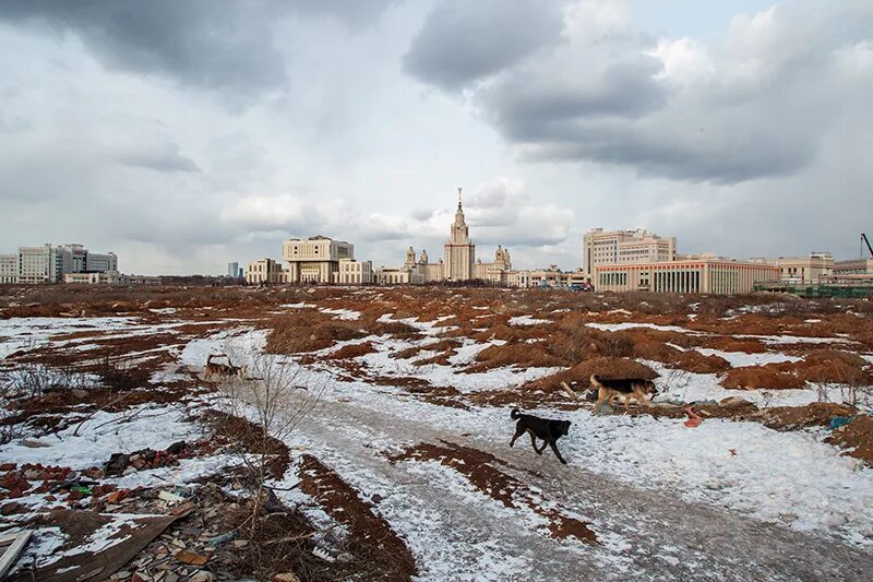 Долина мгу. Научная Долина МГУ. Технологическая Долина МГУ фото.