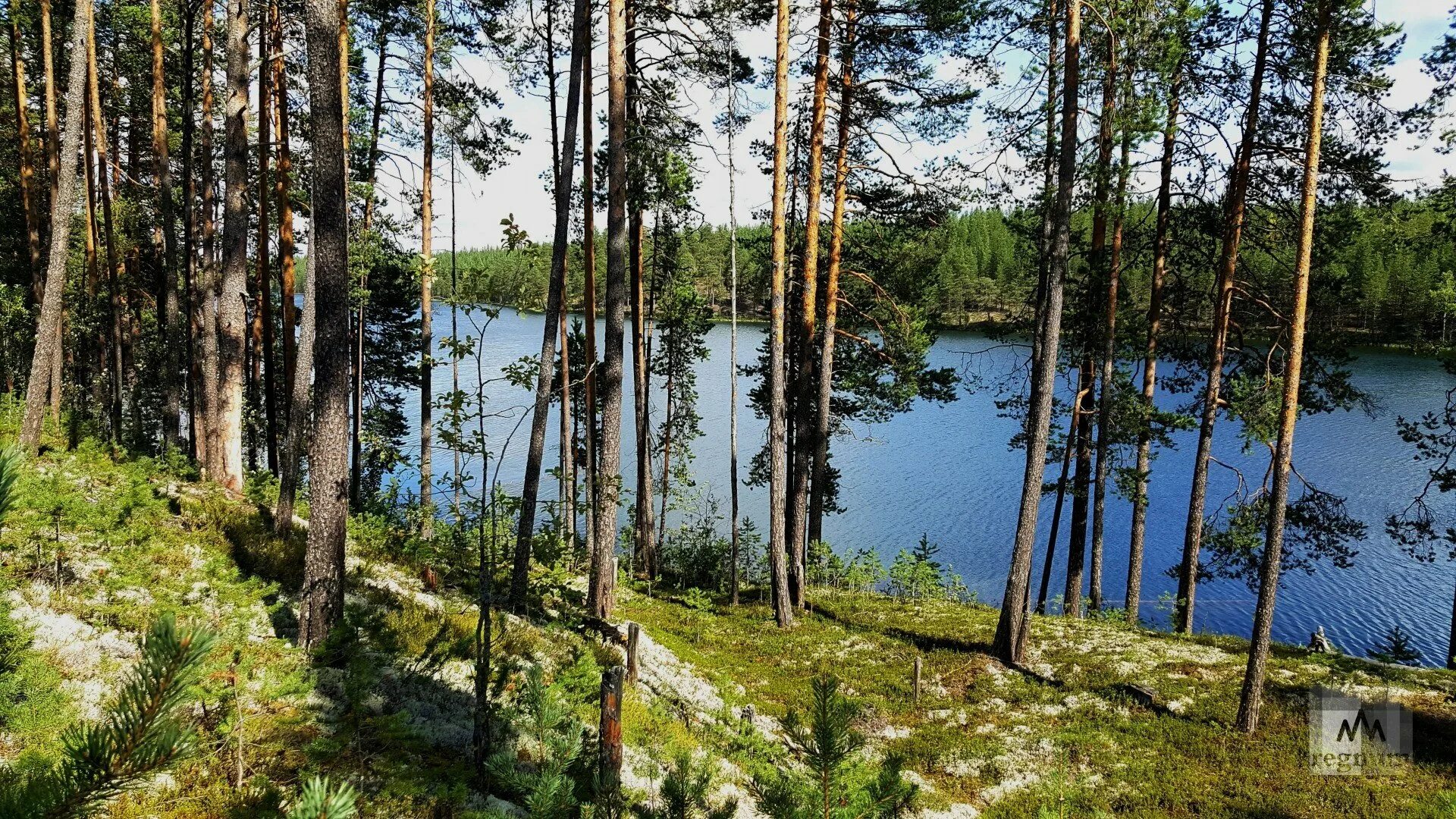 Деревня белое озеро. Белое озеро Северодвинск. Поселок озеро белое Шатурский район. Белое озеро Аккуль Башкирия. Озеро черное Бордуковское.