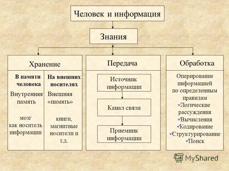 Средства создания хранения и передачи знаний. Средства создания хранения и передачи знаний. Перечислите основные виды информационных процессов. Средства создания хранения и передачи знаний. Виды информационных процессов.