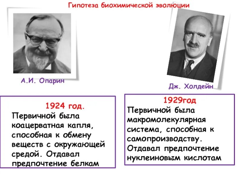 Опарин и Холдейн. Теория биохимической эволюции Холдейн. Теория биохимической эволюции Опарина-Холдейна. Опарин биохимическая Эволюция.