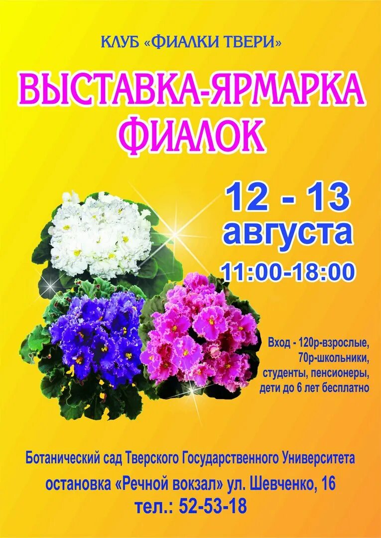 Фиалки твери. Выставка фиалок. Выставка фиалок 2022. Приглашение на выставку фиалок. Библиотека выставка фиалок в мае.