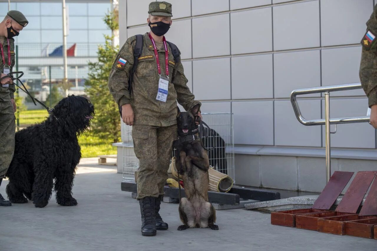 Кинологический колледж после 9 класса. Колледж Калуга кинолог. Военный кинолог учебные заведения. Сергиевский Губернский техникум кинология. Кинологический колледж Иркутск.