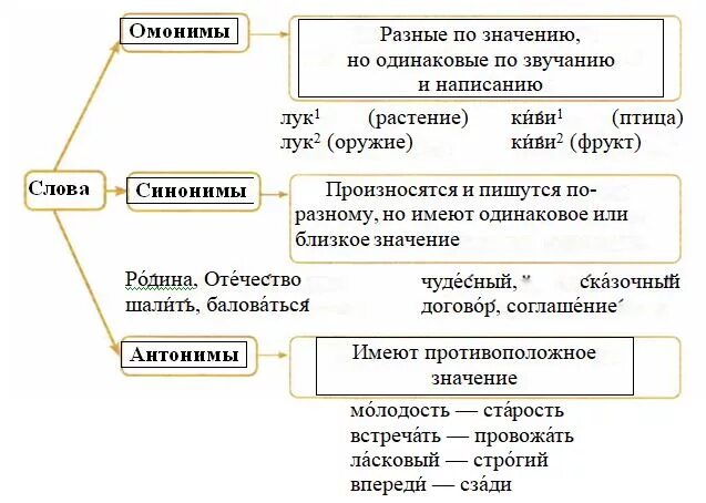 Лексика русского языка задания. Схема синонимы антонимы омонимы 4 класс. Памятка синонимы антонимы омонимы 5 класс. Синонимы, артонимы анонимы памятка. Синонимы антонимы памятка.