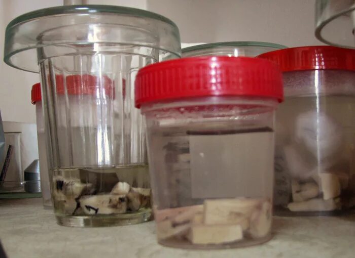 Формалин 10% забуференный histosafe® гистофор - 12,5 мл (25 шт). Взятие гистологического материала. Раствор формалина 10% нейтральный, забуференный. Формалин для гистологии. Формалин забуференный, 10% 10л.