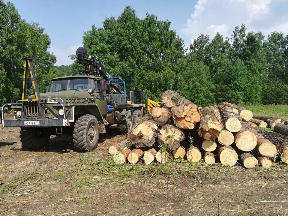 Харвестер jd 1270g. Форвардер ponsse 10 w. Лесоруб машина. Машина лесоруб. Лесовозы на делянке.